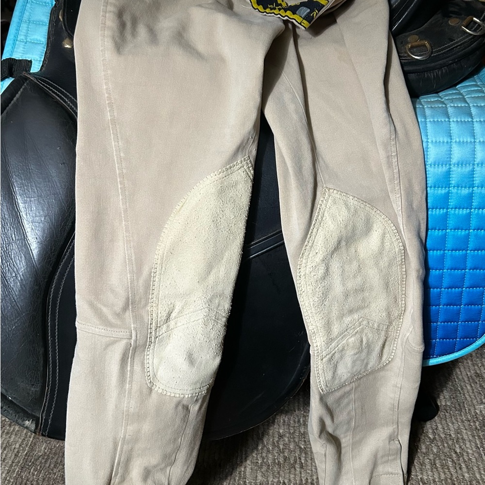 Ovation Breeches (used)